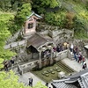 20160418東山区04