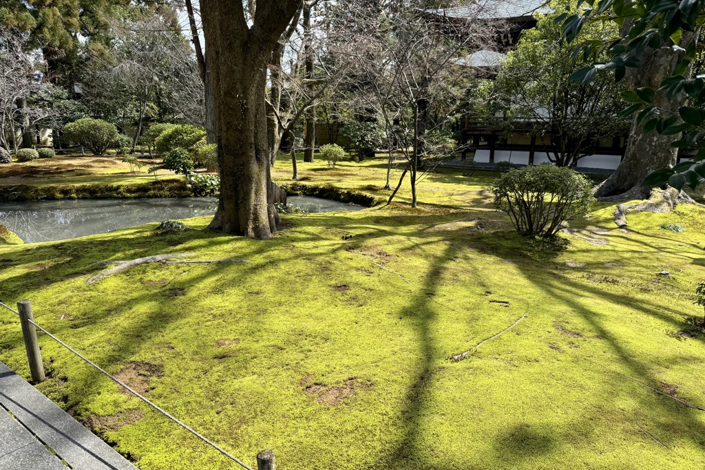20240307右京区36