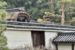 20240317東山区24