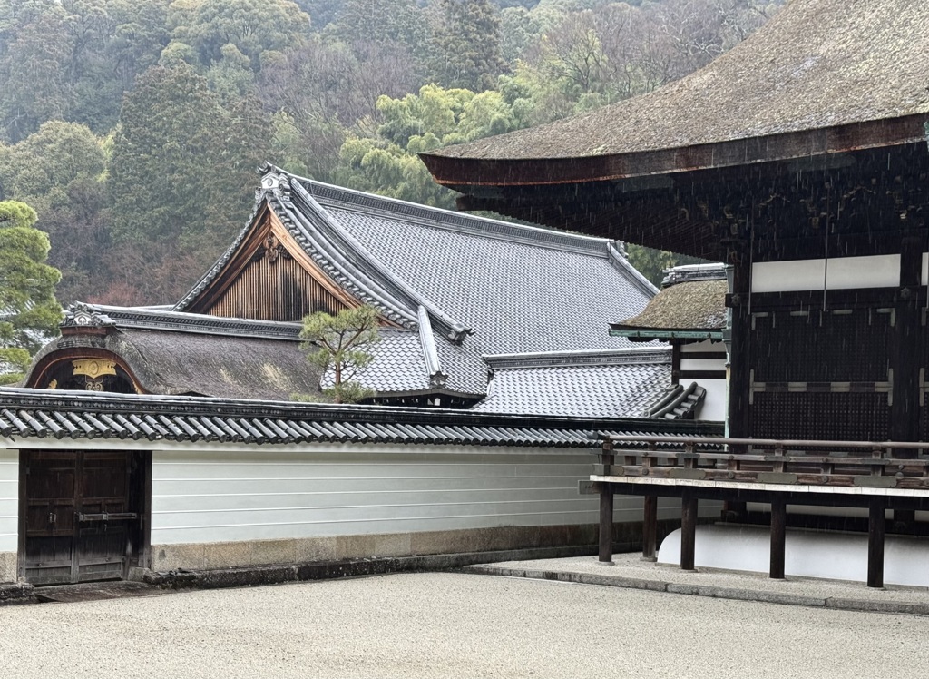 20240317東山区17