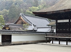20240317東山区17