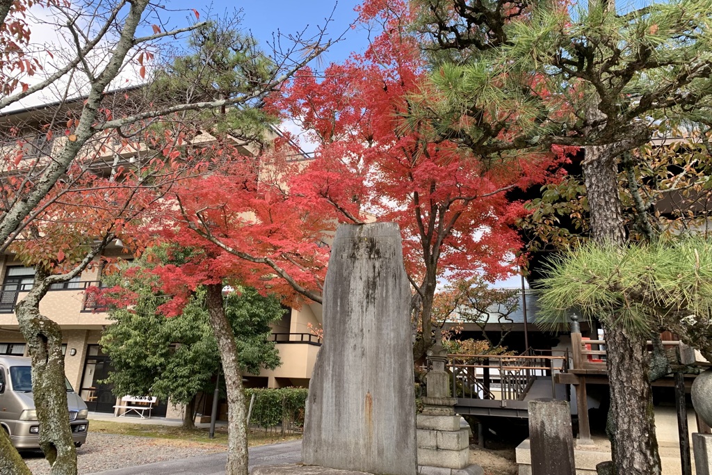 20191121上京区14