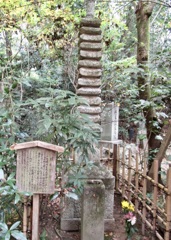 20181130東山区13
