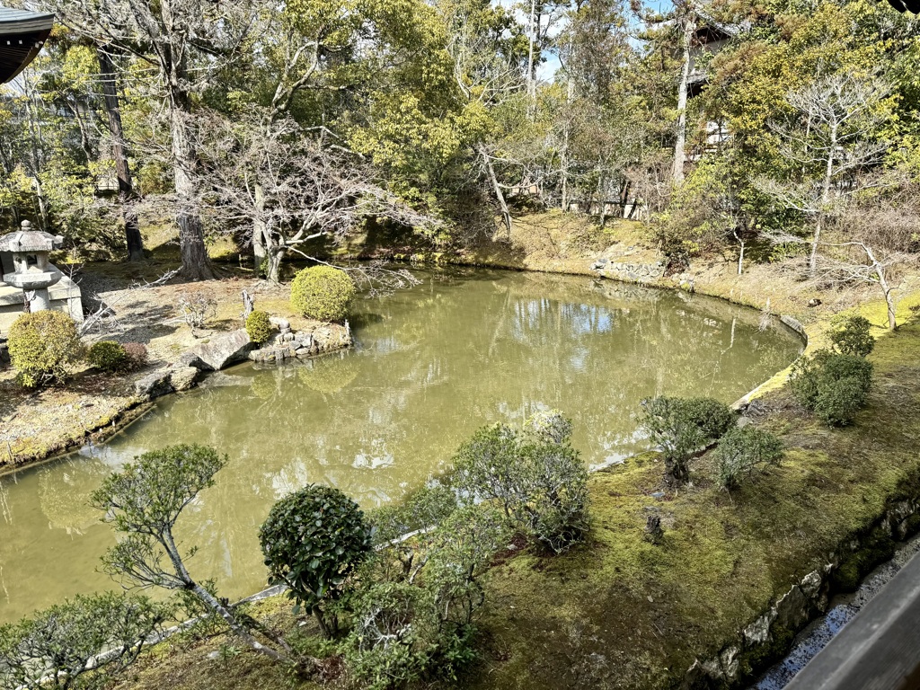 20240310右京区13