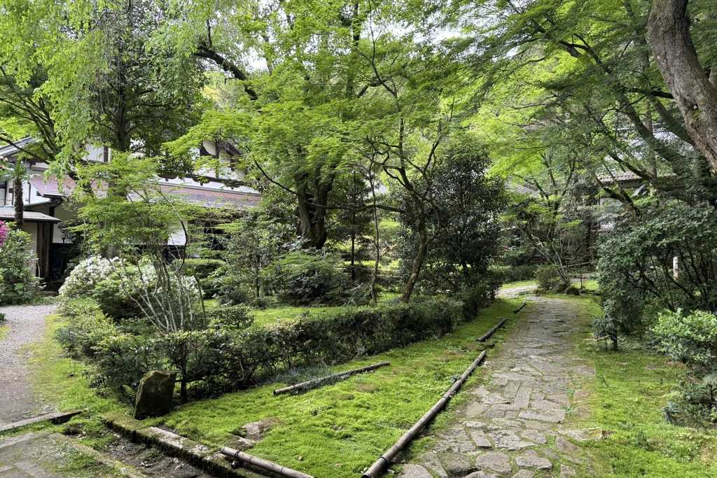 20240506彦根市17