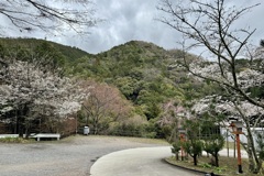 20240404木津川市25