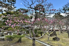 20240309東山区12