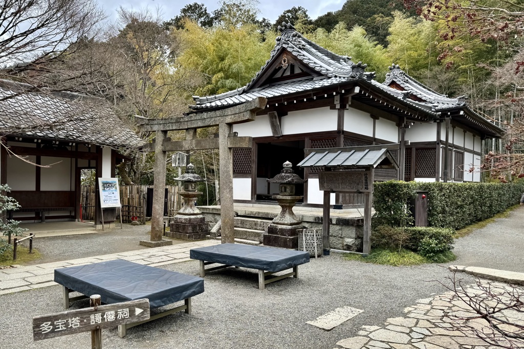20240208右京区07