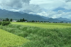 20190824長野県松川村01
