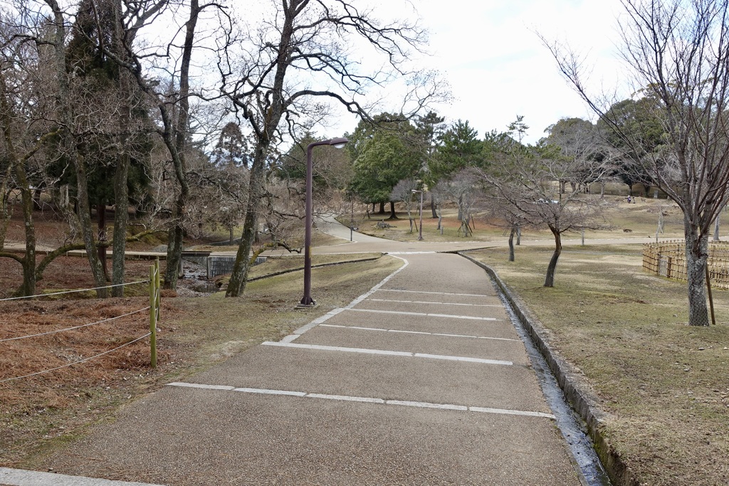 20150118奈良市16