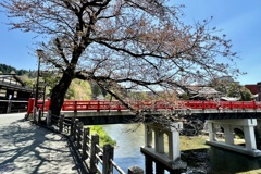 20210421高山市04