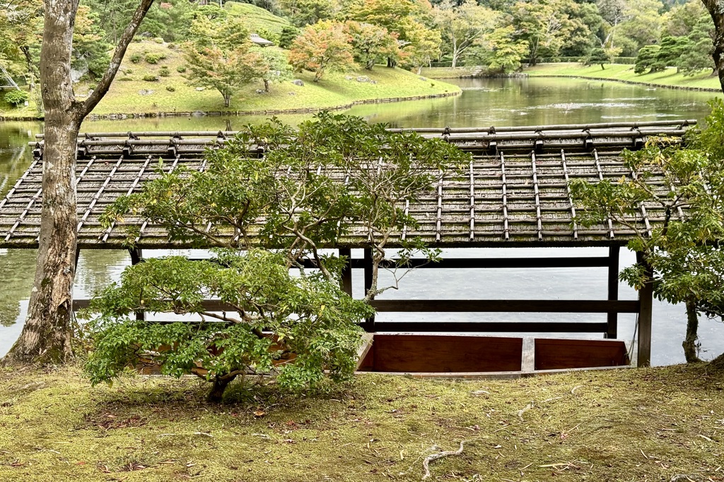 20241023左京区31