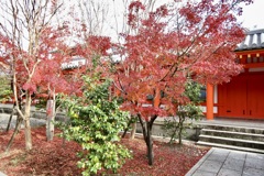 20181205東山区14