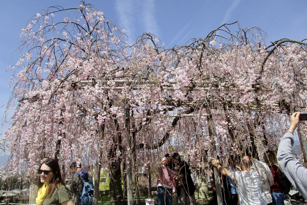 20190418東山区01
