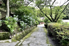20220628山口県平生町05