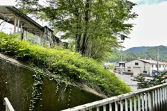 20220627岩国市01