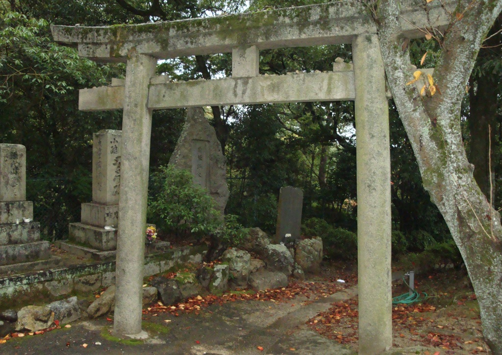 20091122貝塚市05