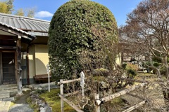 20240210右京区23