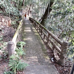 20181130東山区15