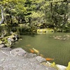 20210419小松市16