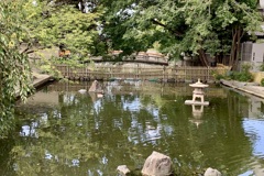 20191007京都市南区06