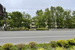 20230614根室市05