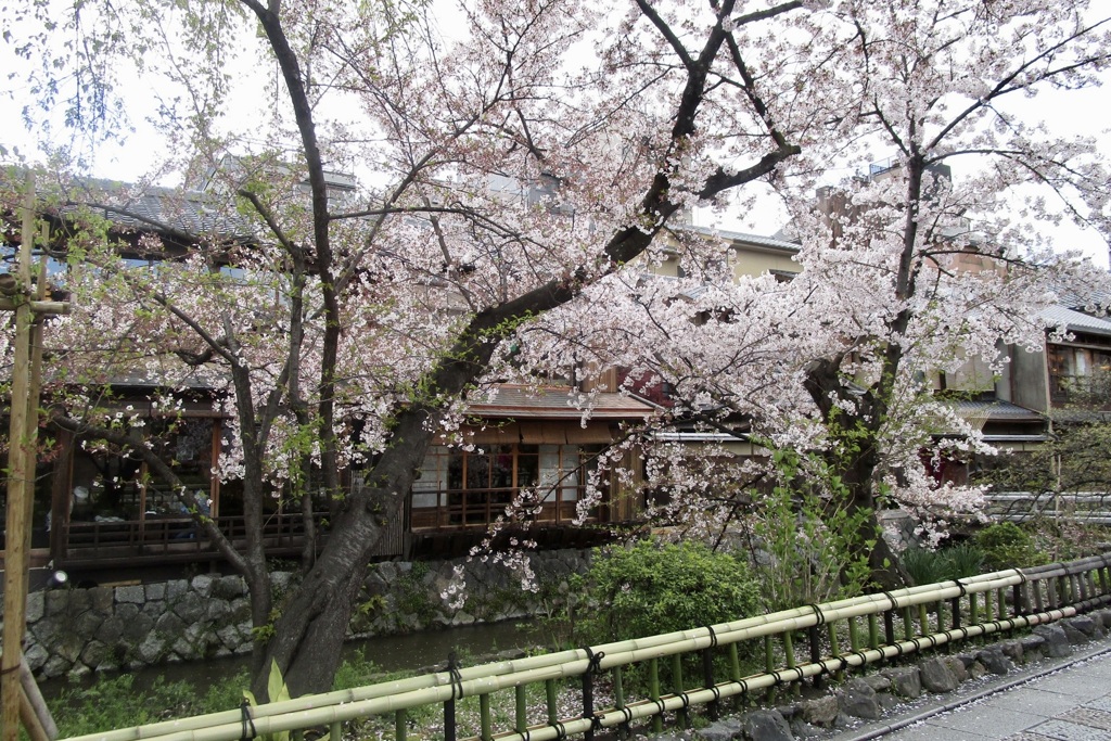 20190411東山区04