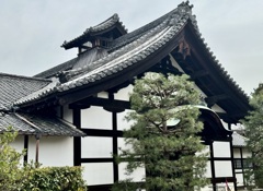 20240402山科区07
