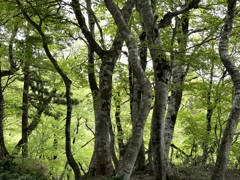 20210512大山町02