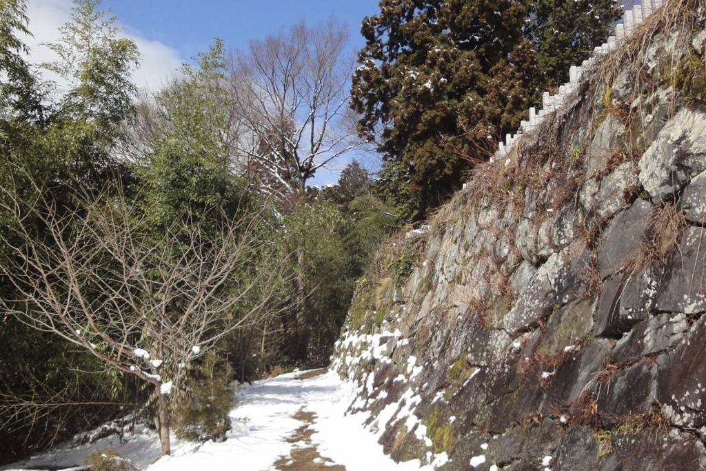 20110305近江八幡市10