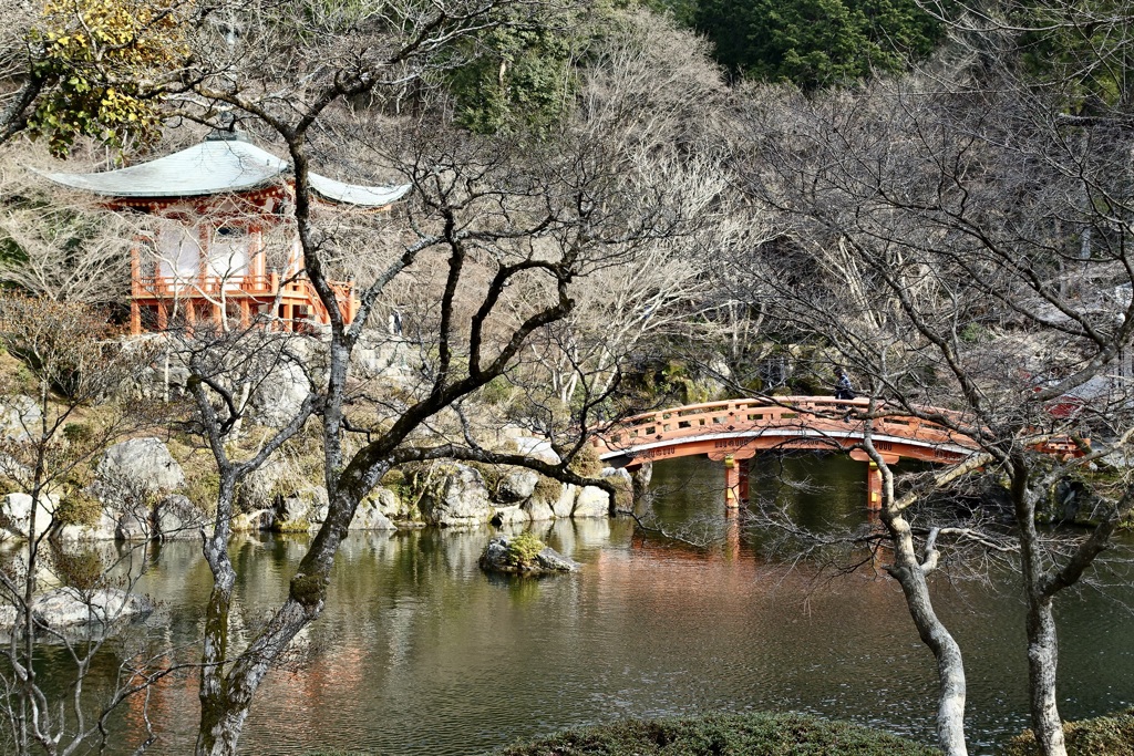 20150111伏見区17