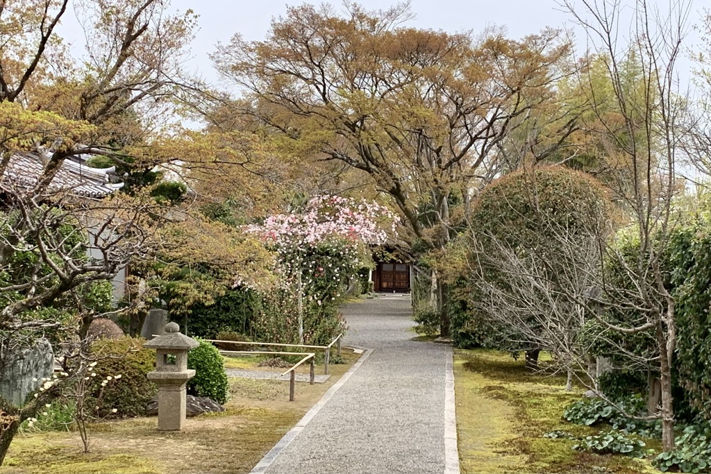 20200330右京区20