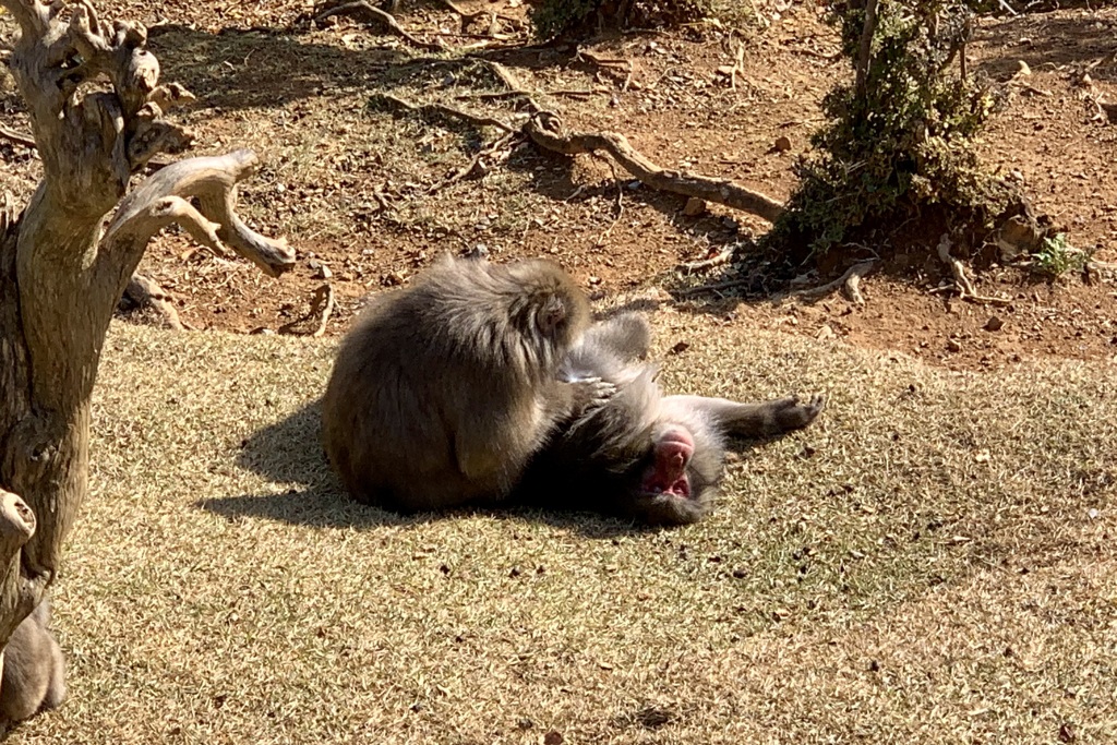 20191119西京区03