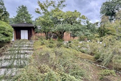 20241023左京区09