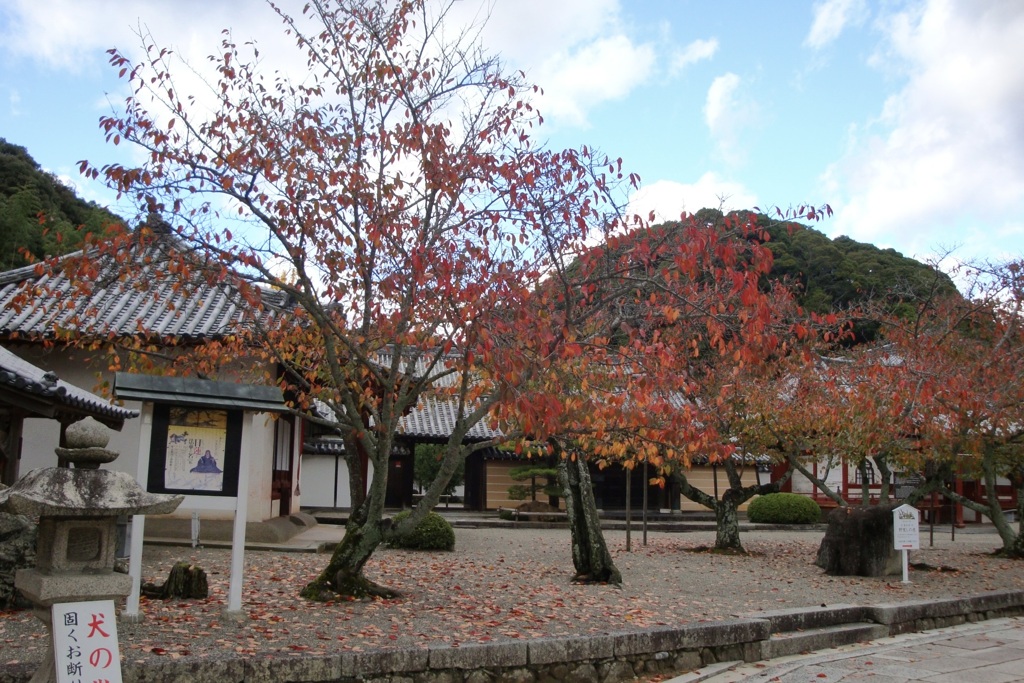 20091114紀の川市02