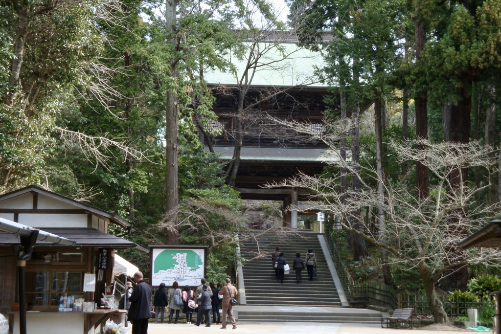 20090313鎌倉市03