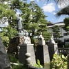 20110911善通寺市11