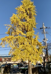 20191209下京区01