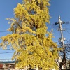 20191209下京区01