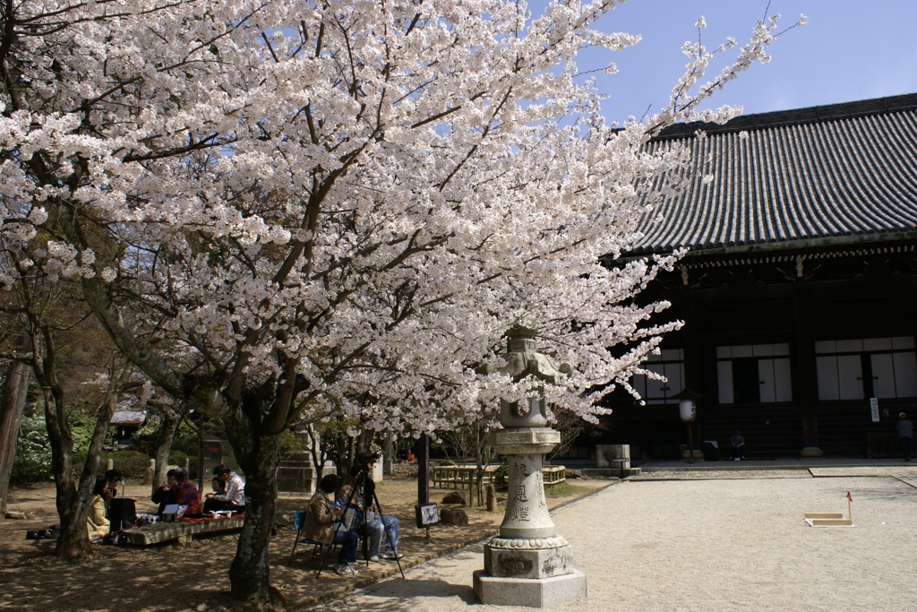 20080406左京区07