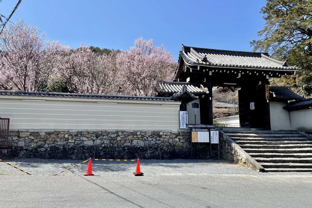 20230320左京区04