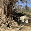 20210316東松山市01