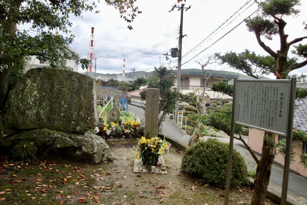 20091114海南市04
