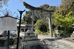 20240410左京区02