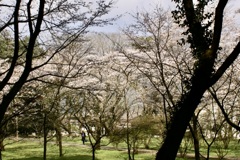 20070328朝倉市23
