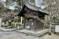 20240404木津川市19
