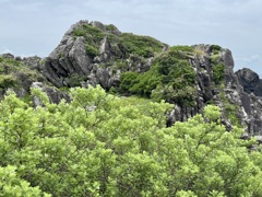20250529室戸市07