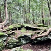20190722富士河口湖町36