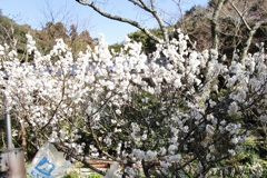20190308防府市08
