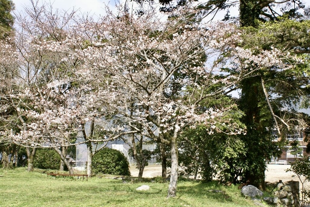 20070328朝倉市17